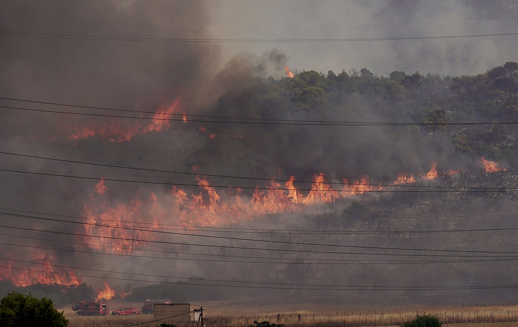 image Fires in Attica under control, says Cyprus firefighter