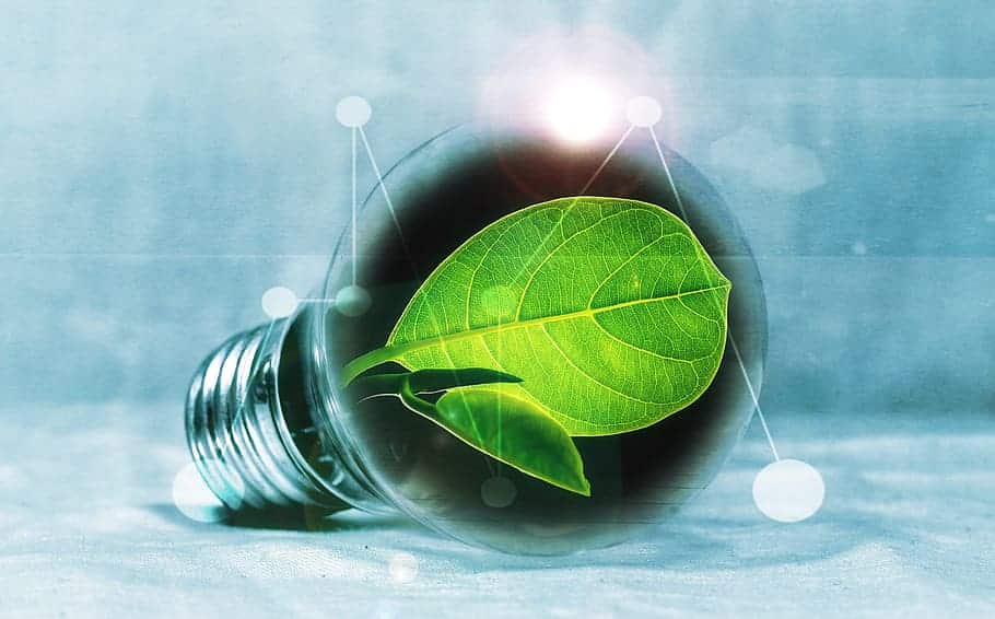 image EAC sends €20 vouchers for LED bulbs to vulnerable consumers