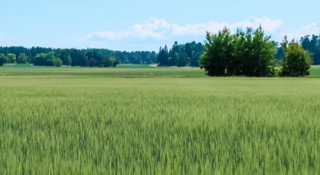 image Paper makers and users look to greener frontiers