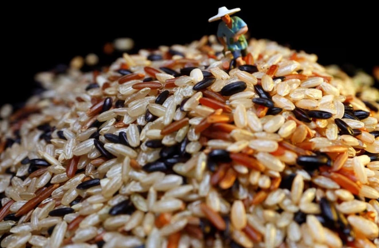image Rice to get costlier as weather, India&#8217;s farm perks threaten supply