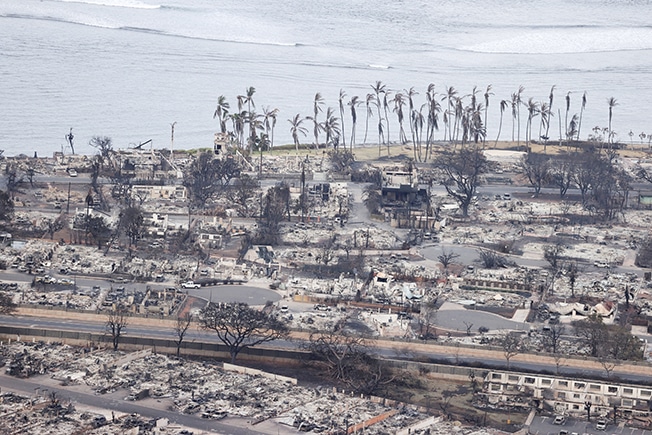 image Maui wildfire death toll hits 55, recovery to take years
