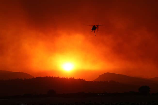 image Heatwave turns deadly as 18 burned bodies found in Greek fires
