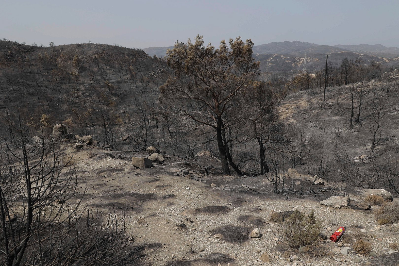image Rhodes deputy mayor grateful for Cypriot reforestation funding