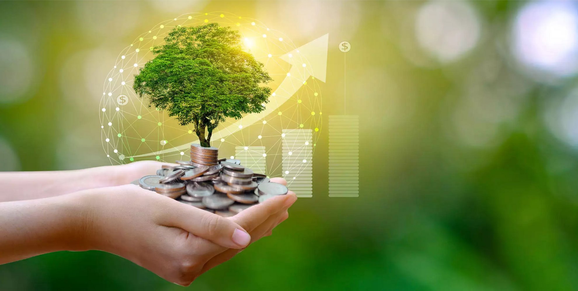 image ESG Investing – Green is the new Black