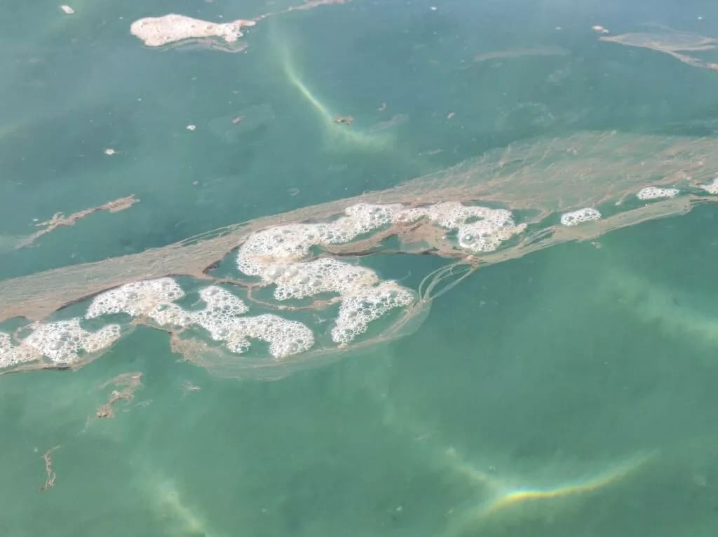 Sea foam, ocean foam, beach foam, spume, pollution, sea pollution