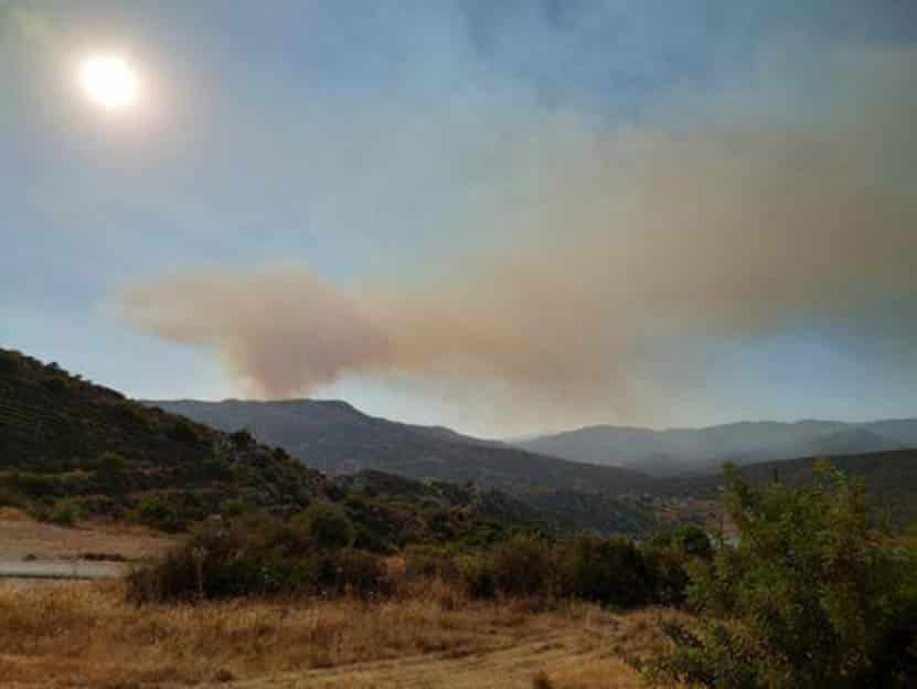 image Limassol villages plagued by fires to create monitoring system