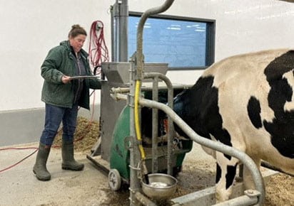 image The climate-friendly cows bred to belch less methane