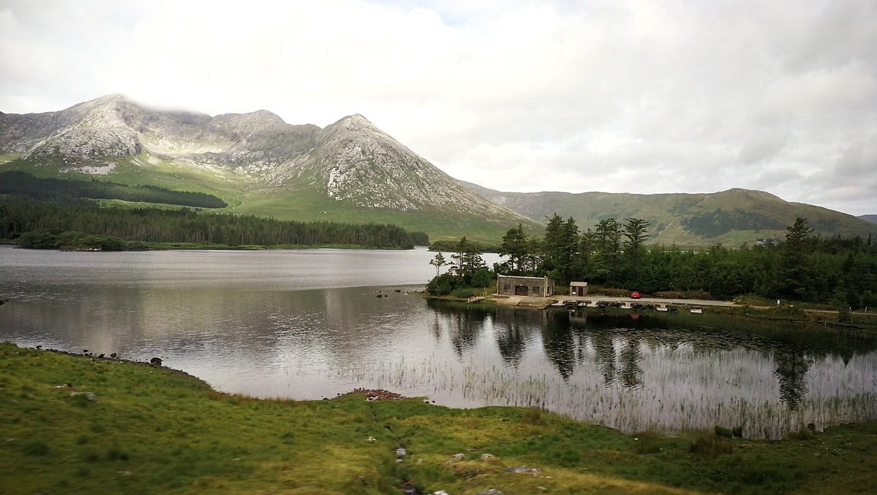 image The Nature Restoration Law is a game changer for fighting climate change