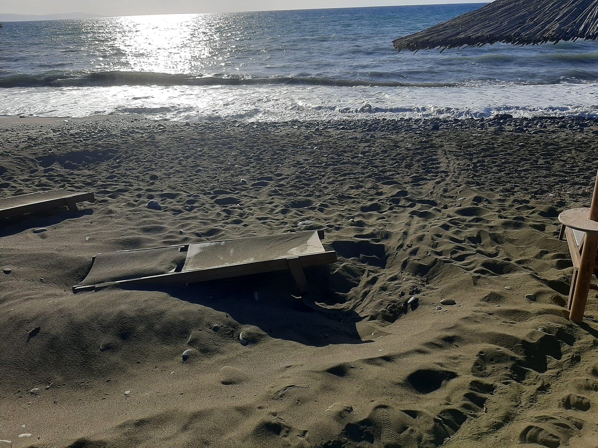 image Fisheries department addresses concerns over turtle nesting on Gialia beach