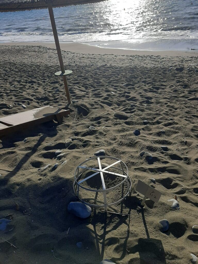 a protected sea turtle beach in gialia