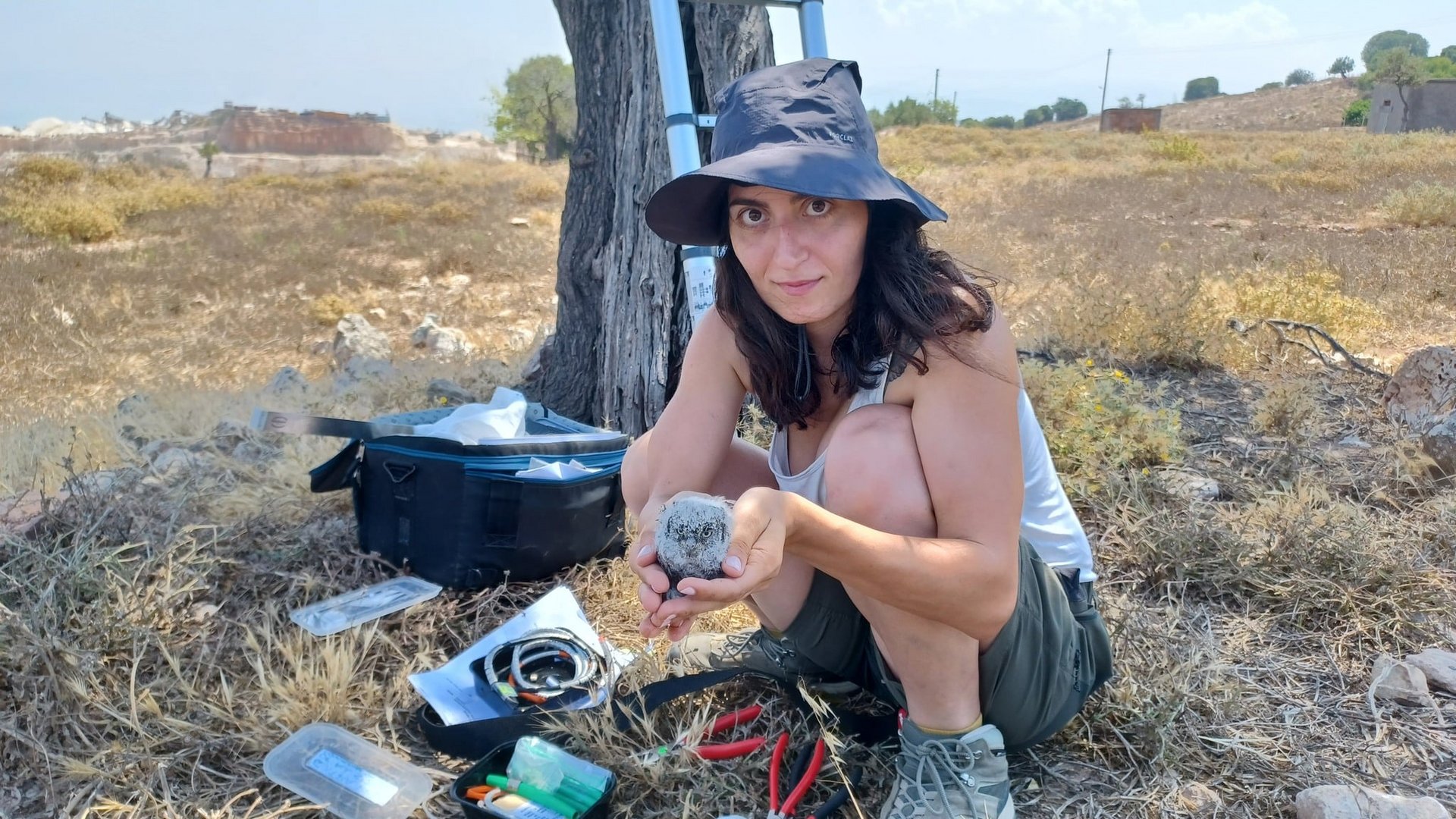 image BirdLife Cyprus hails artificial nest success