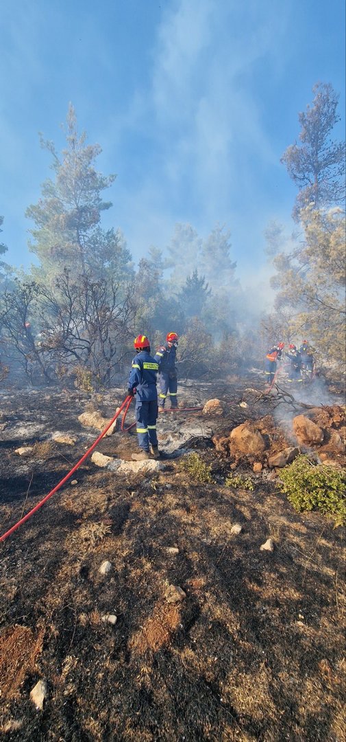image Cypriot mission moves to &#8220;dangerous front&#8221; in Evros
