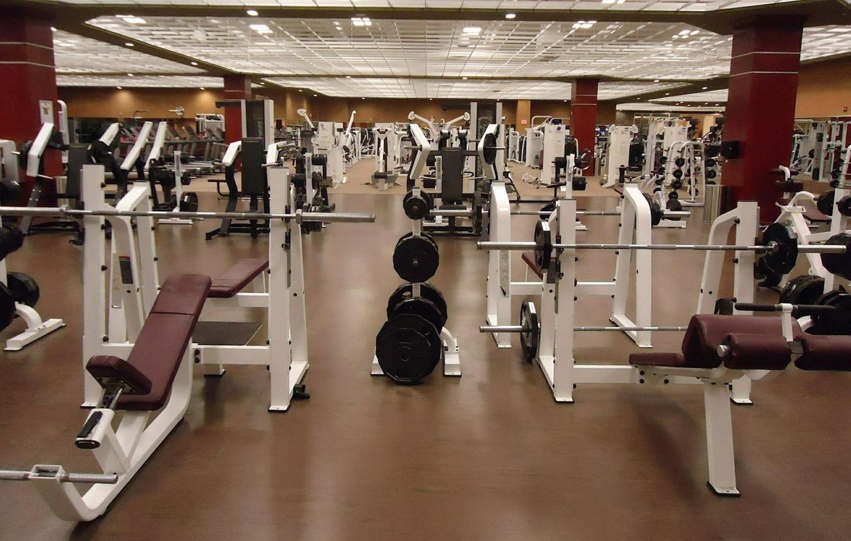 image Laws in pipeline to crack down on illegal gyms
