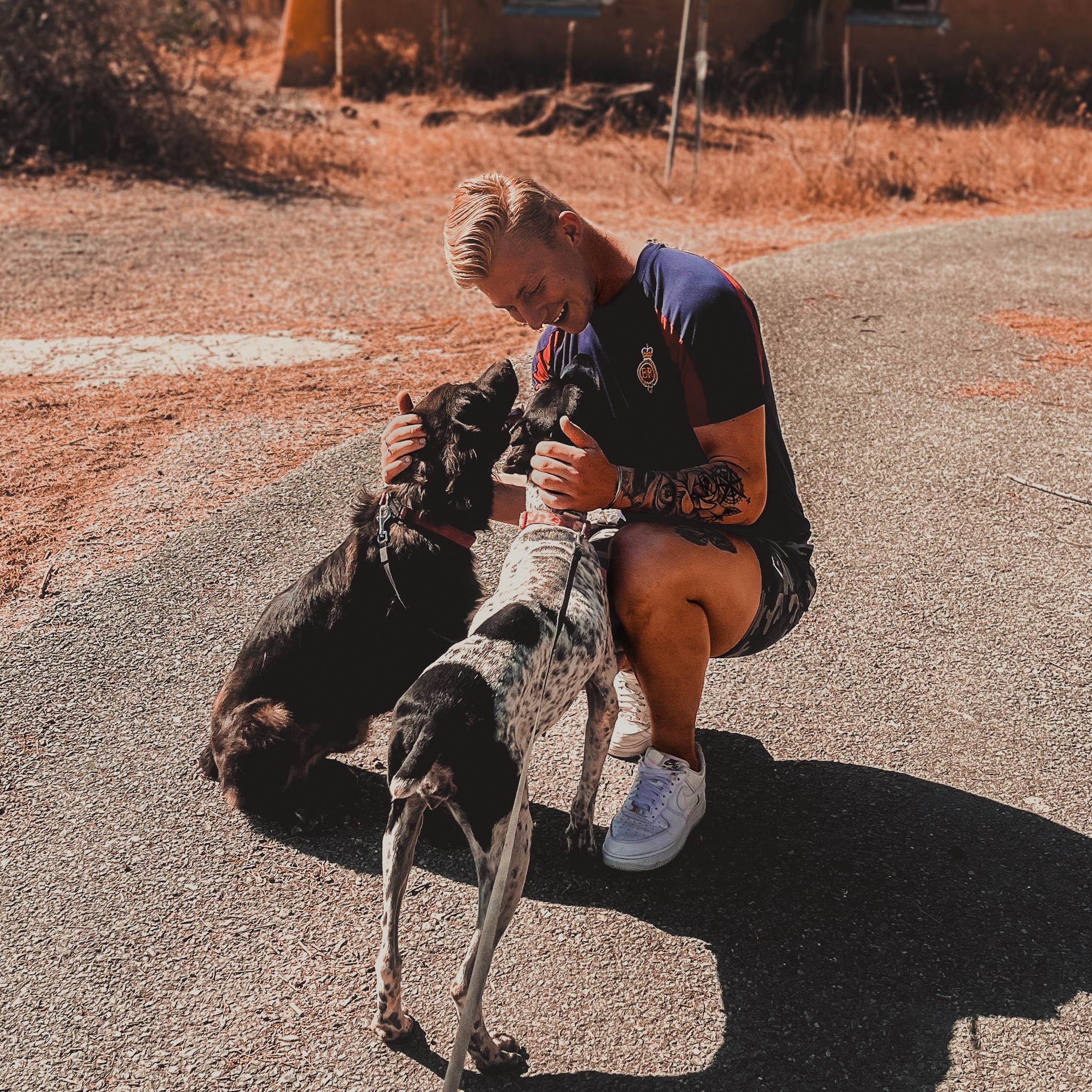 image British UN peacekeepers to raise funds for Nicosia dog shelter