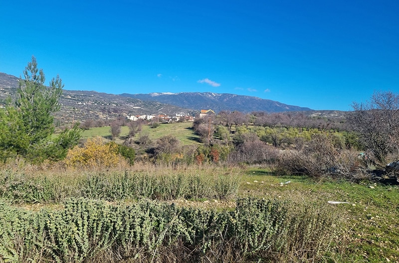 profile the anasa valley