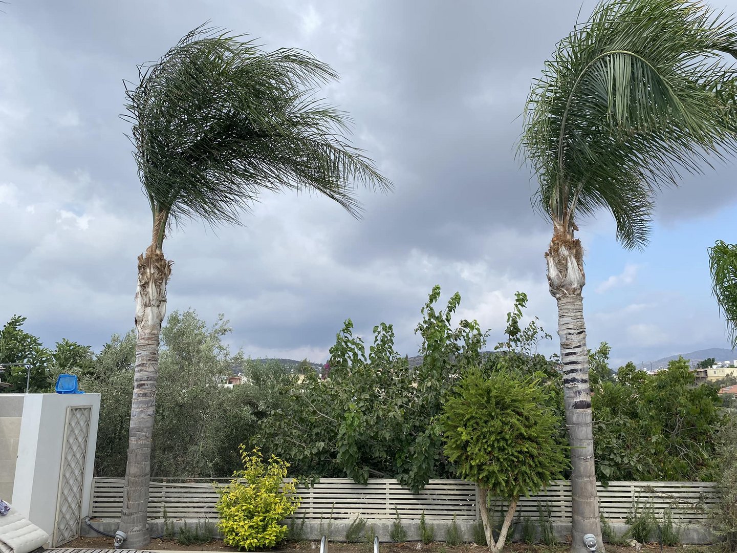 image Heavy rains hit Paphos, more expected (updated)