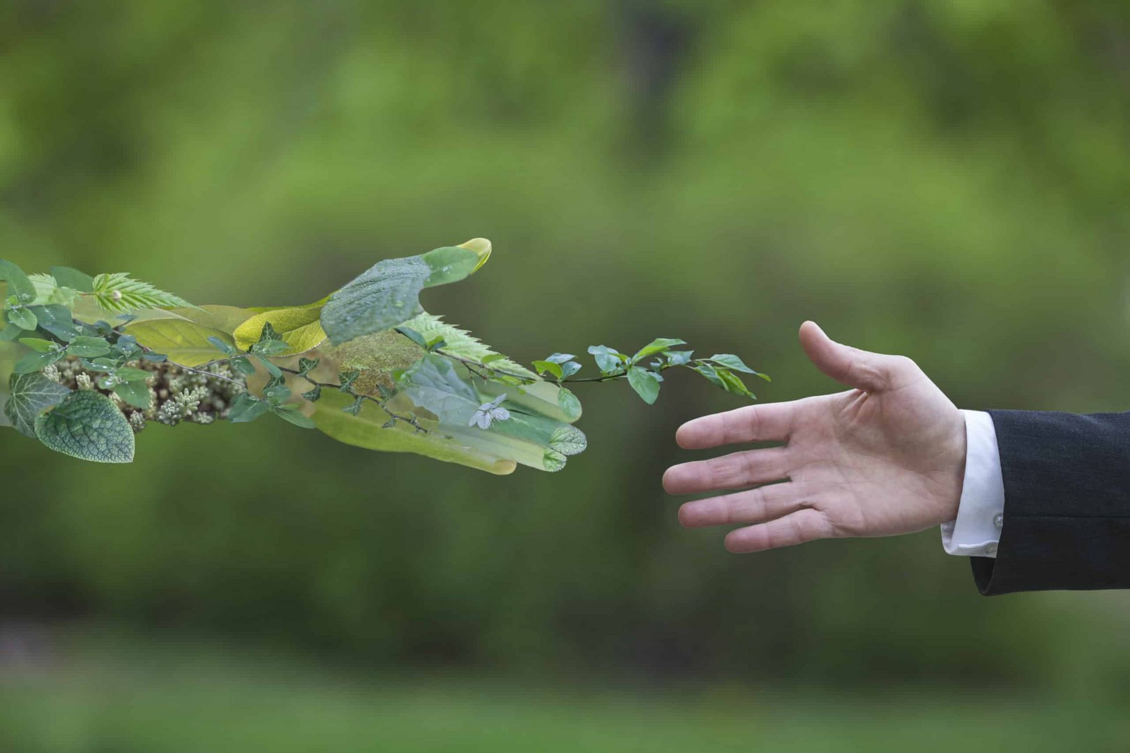 image Unmasking Greenwashing: Deception in the pursuit of Sustainability
