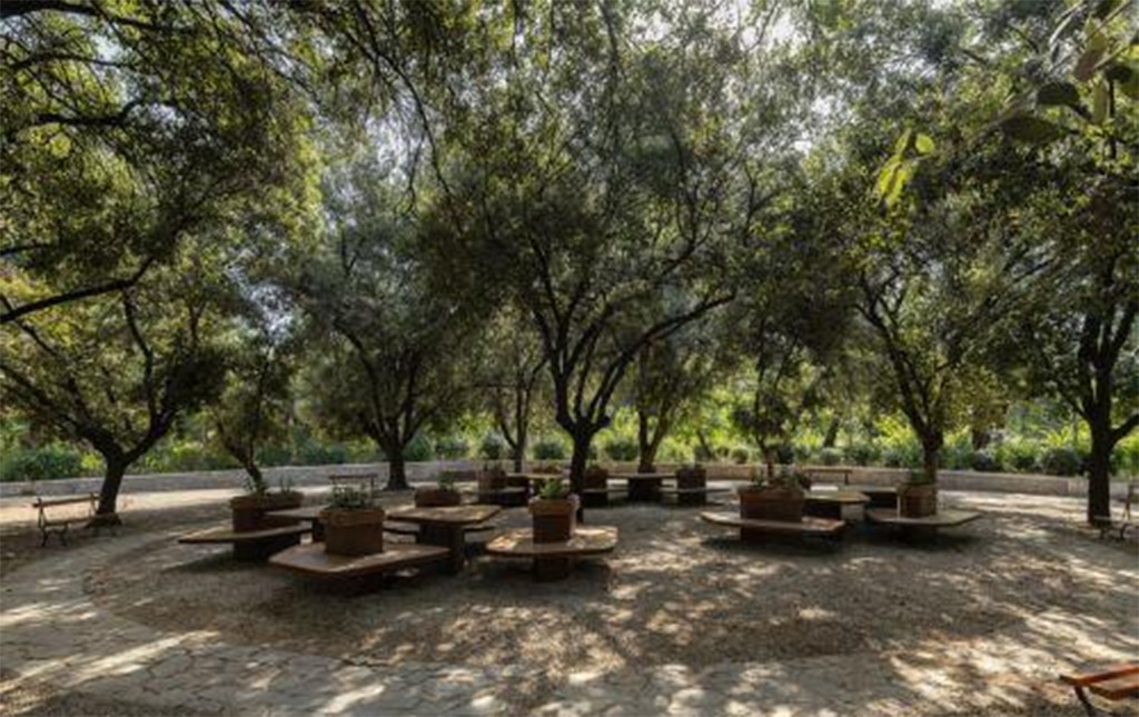 image Trees hacked down in Mandria