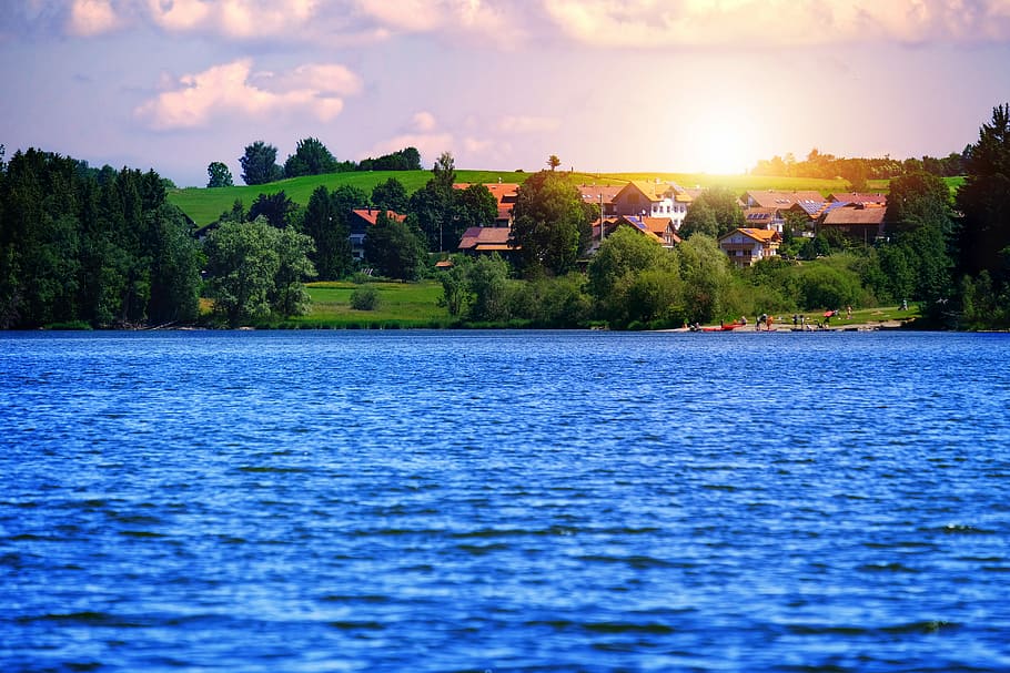 image What’s Eaten Where: Poland: less green than Cyprus!