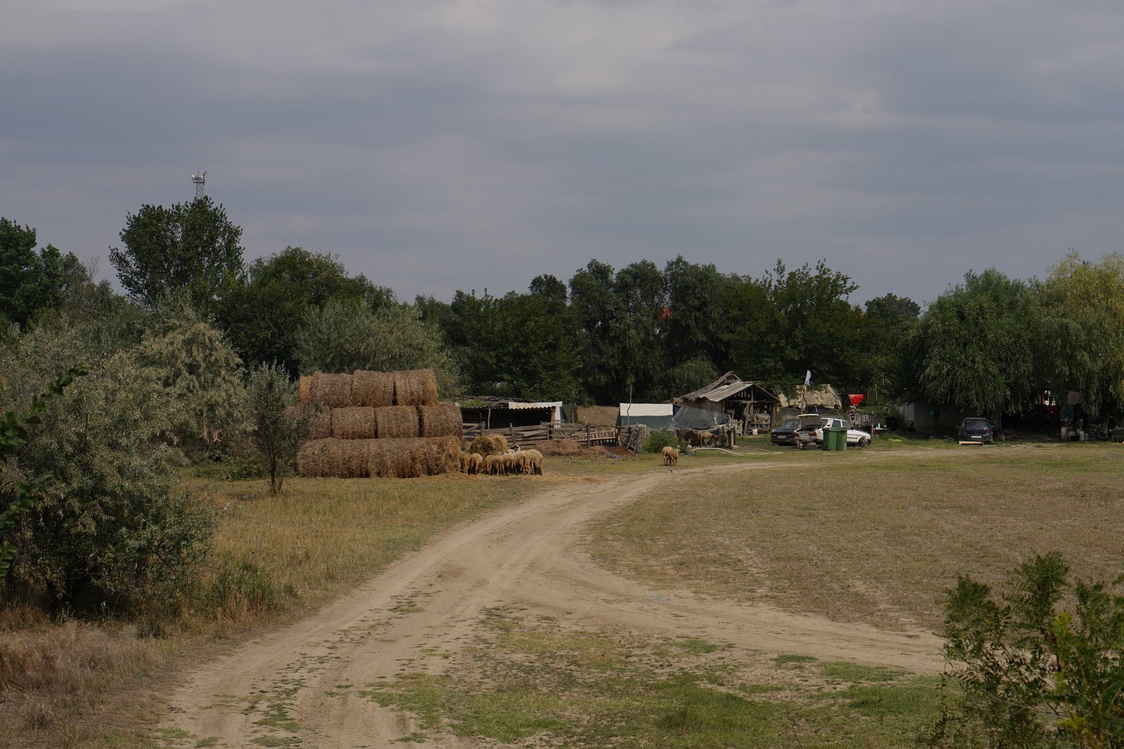image NATO has no indication of intentional Russian attack on Romania
