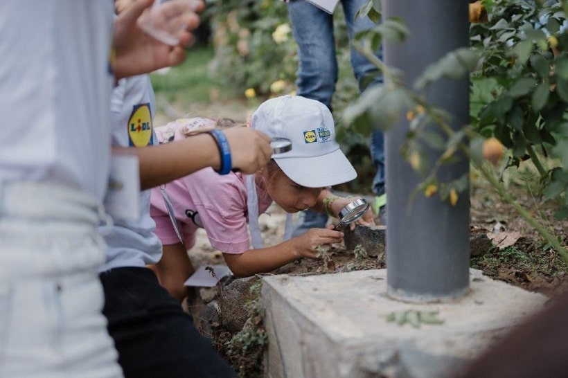 Fourth Lidl Wellness Camp, September 2023