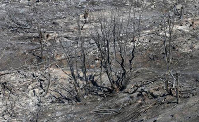 image Police arrest 74 yr old suspect for Farmakas blaze