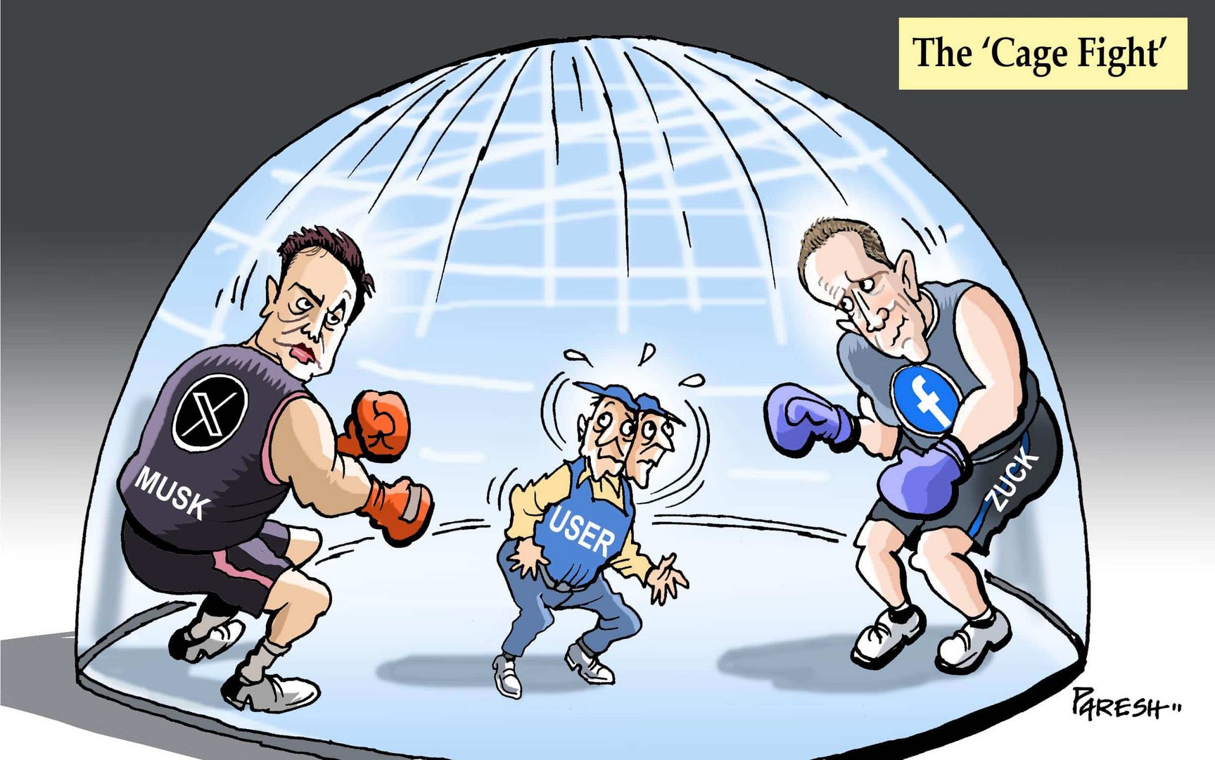 musk zuck cage fight