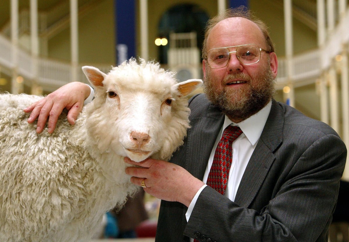 image UK scientist who created Dolly the Sheep clone dies at 79