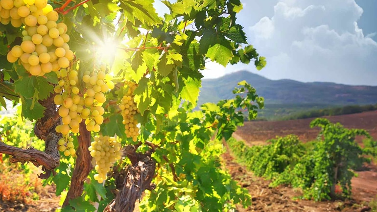 image Today&#8217;s weather: Hot and mainly clear