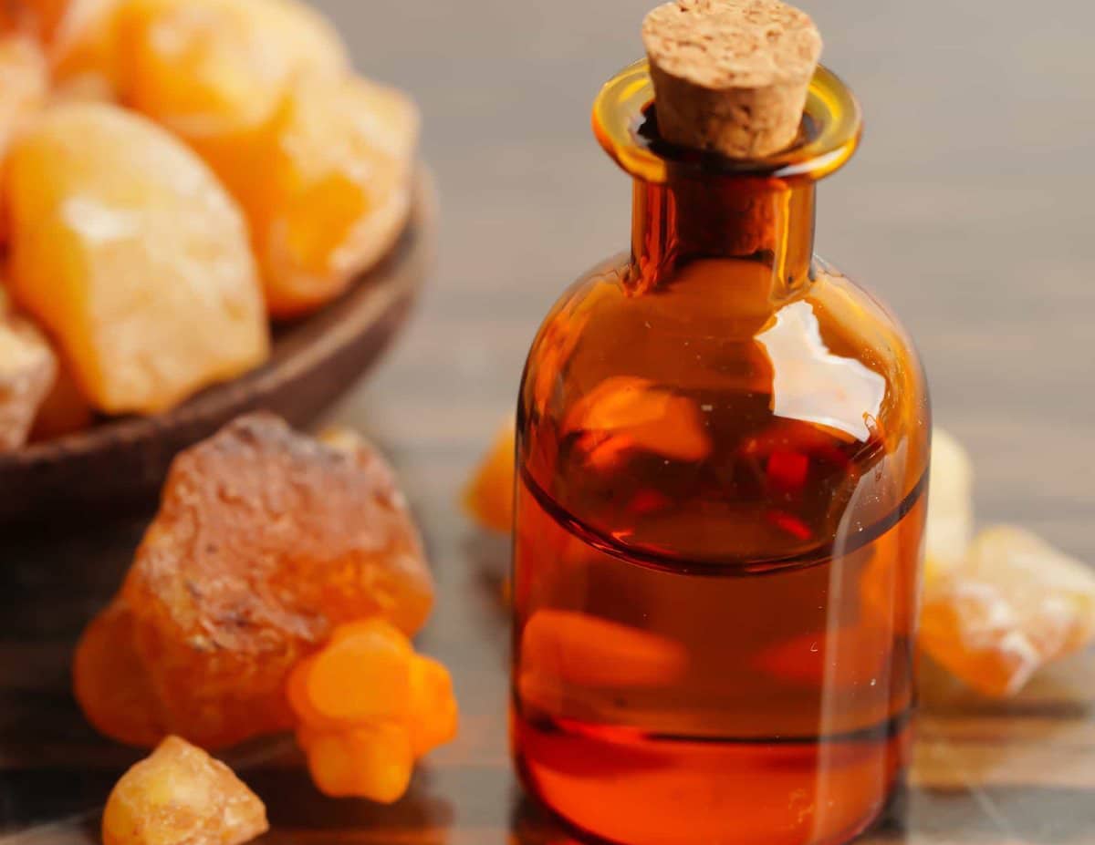 image The scent of the ancient Egyptian afterlife has been recreated