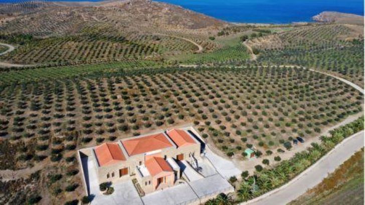 image Organic farming has grown significantly in past two decades, minister says