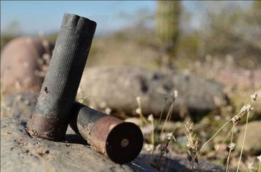 image Fines of €3,000 for hunters in prohibited areas