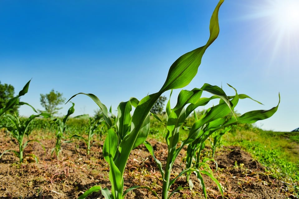 image Extreme weather will have severe effect on economy
