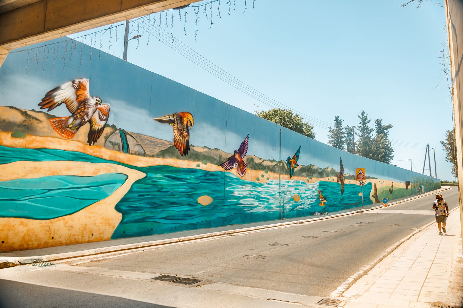 image Mythology, eagles and farming have pride of place in Cyprus’ longest mural