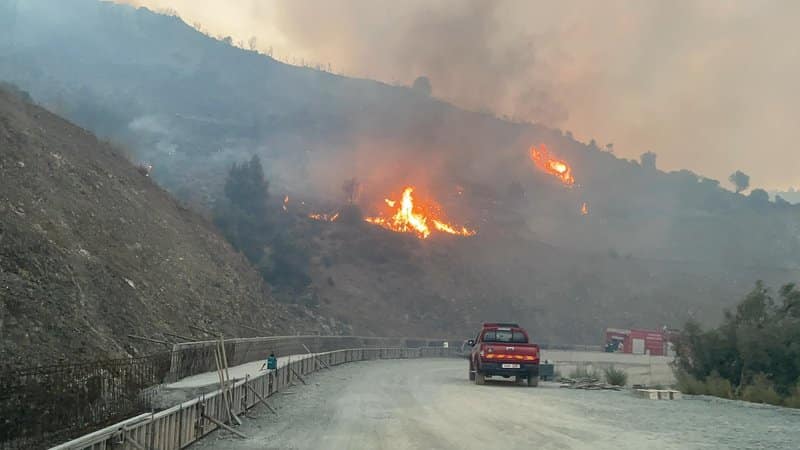 image Fires caused €9.5m worth of damage last year