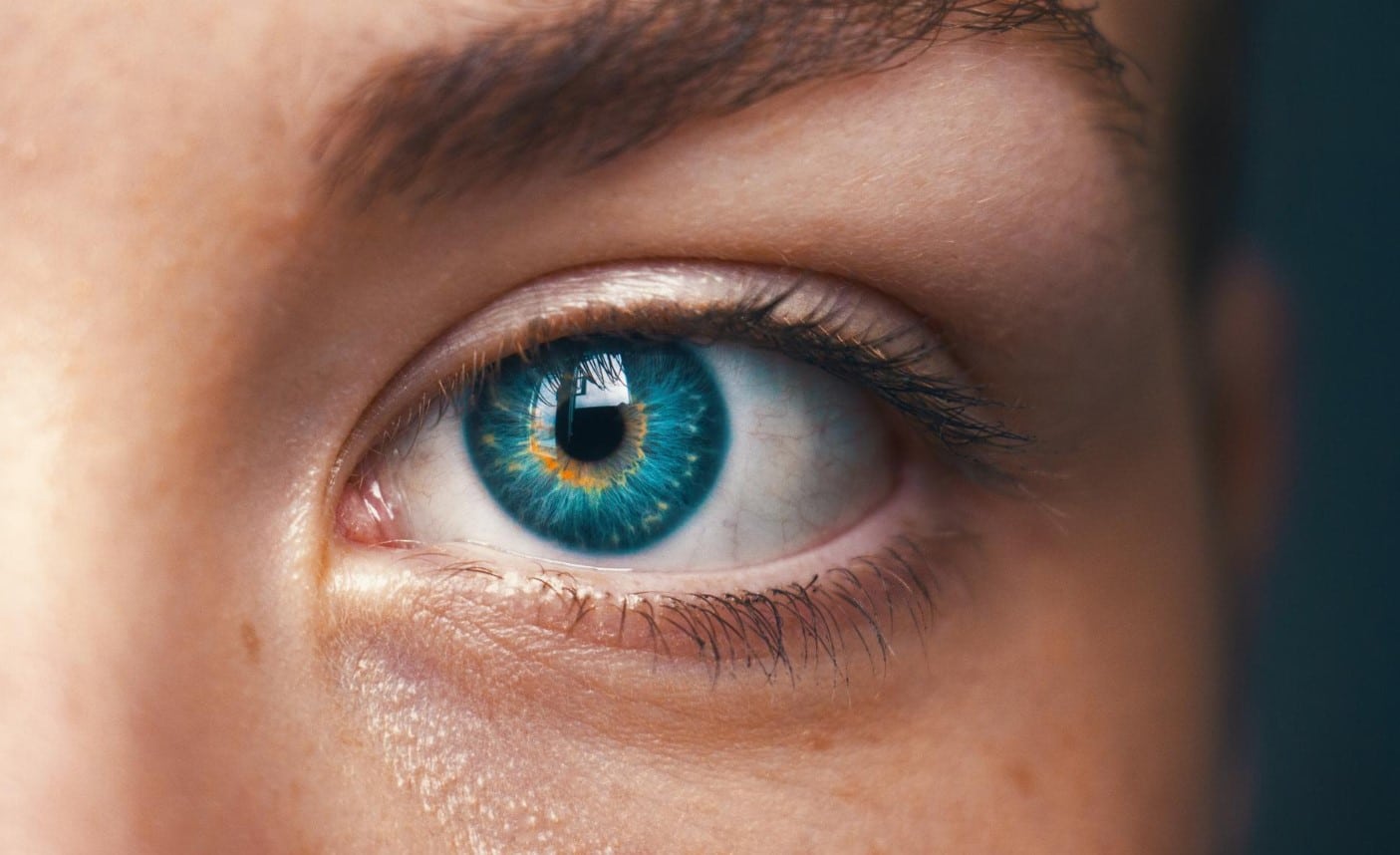 image Alleviating paralysis with new brain-reading technologies