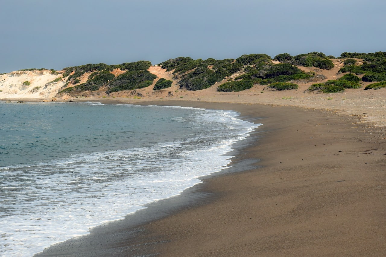 image Volunteers lead beach clean-ups