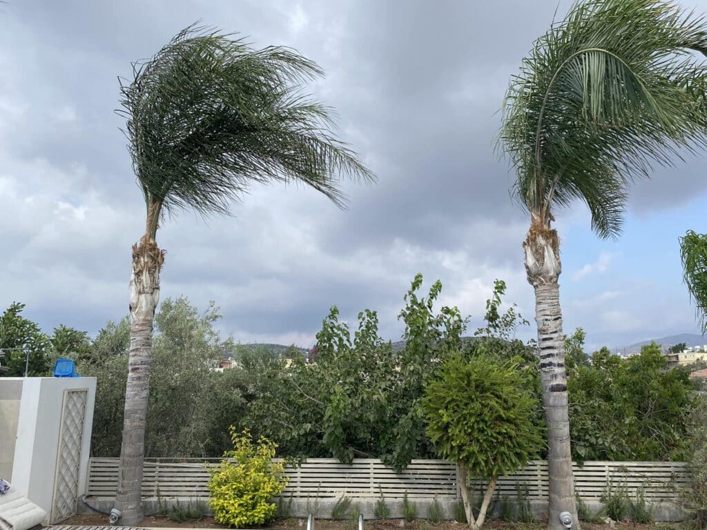 image Met office issues yellow warning for Sunday