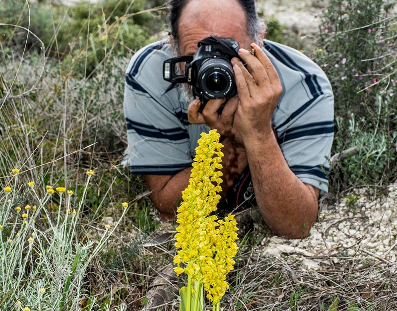 image Cyprus naturalist at home with other animals