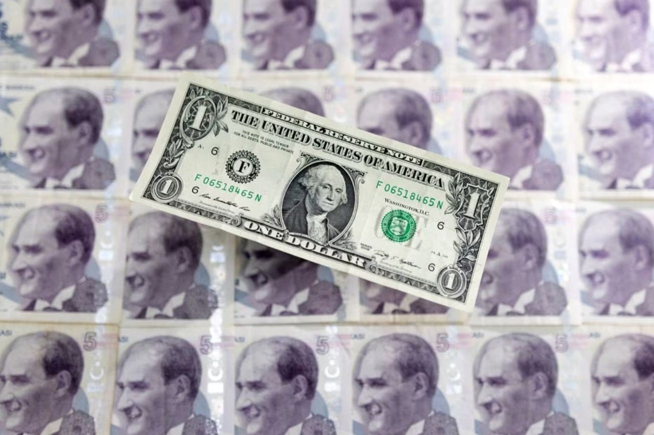 image Most Turkey depositors returned to forex after leaving lira scheme