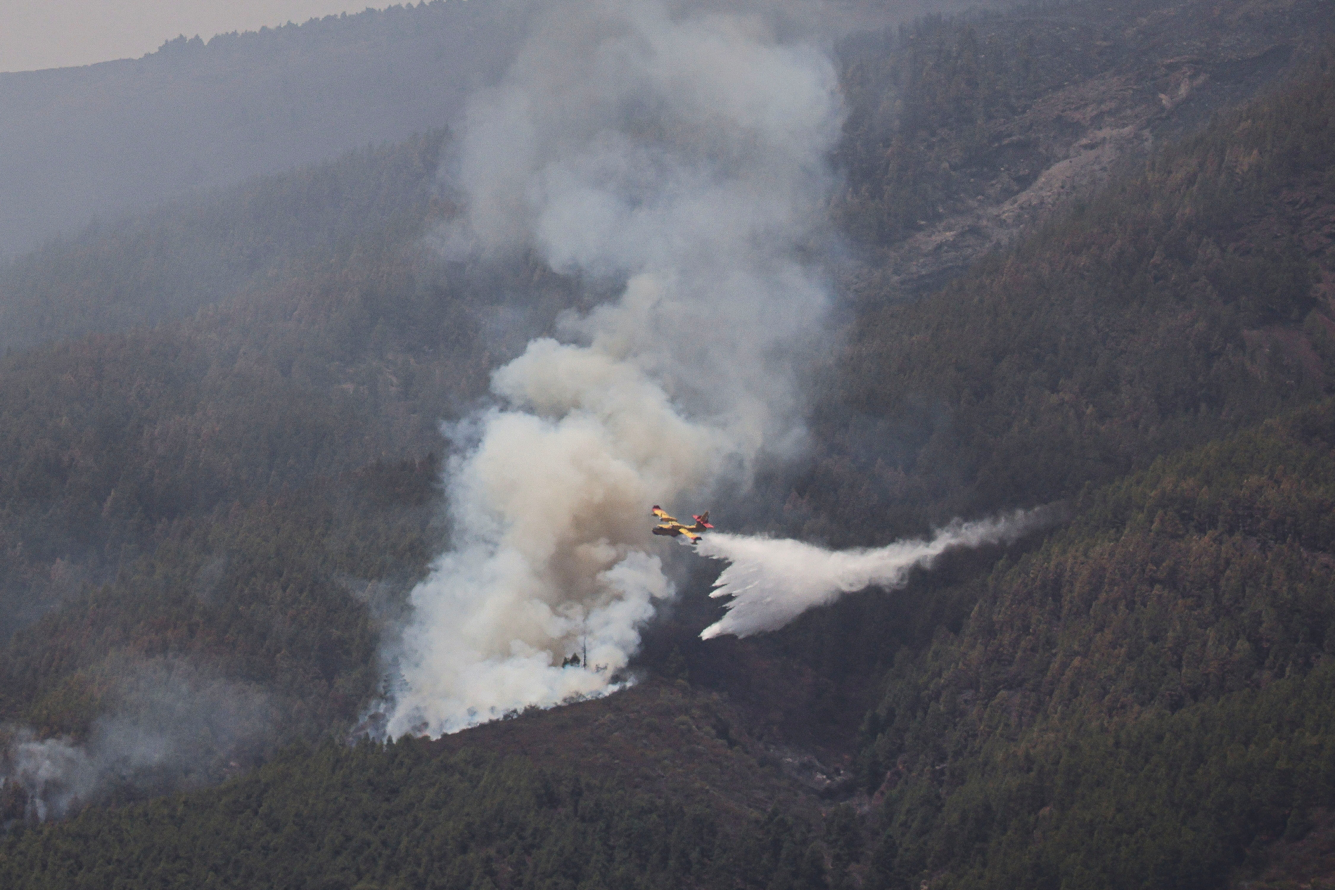 image Thousands evacuated from Tenerife as summer wildfire re-ignites