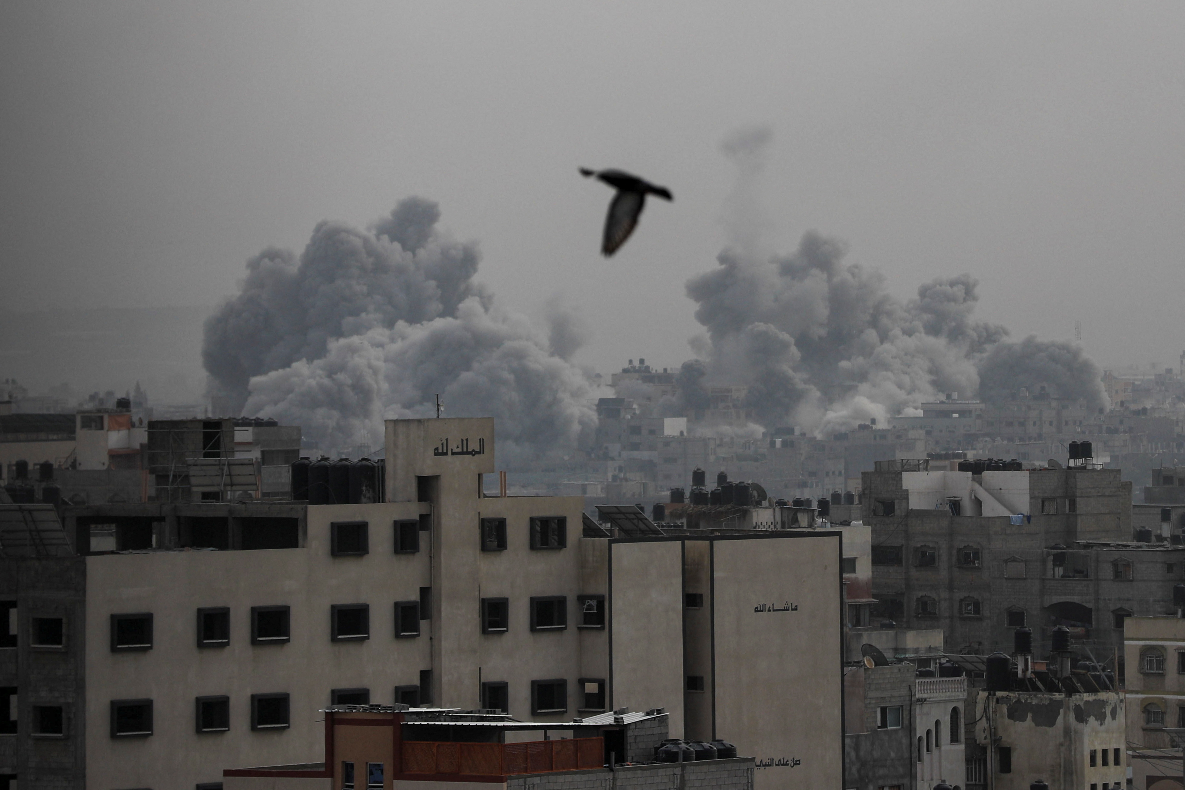 image US says Israel must protect civilians in Gaza, stop Jewish settler violence