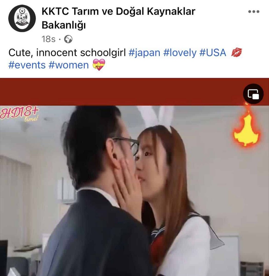 image Third lewd videos on north’s ‘agriculture ministry’ Facebook page (update 2)