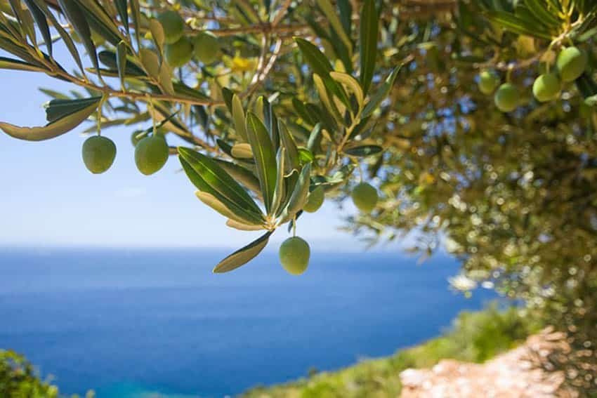 image Today&#8217;s weather: Warm and mostly clear