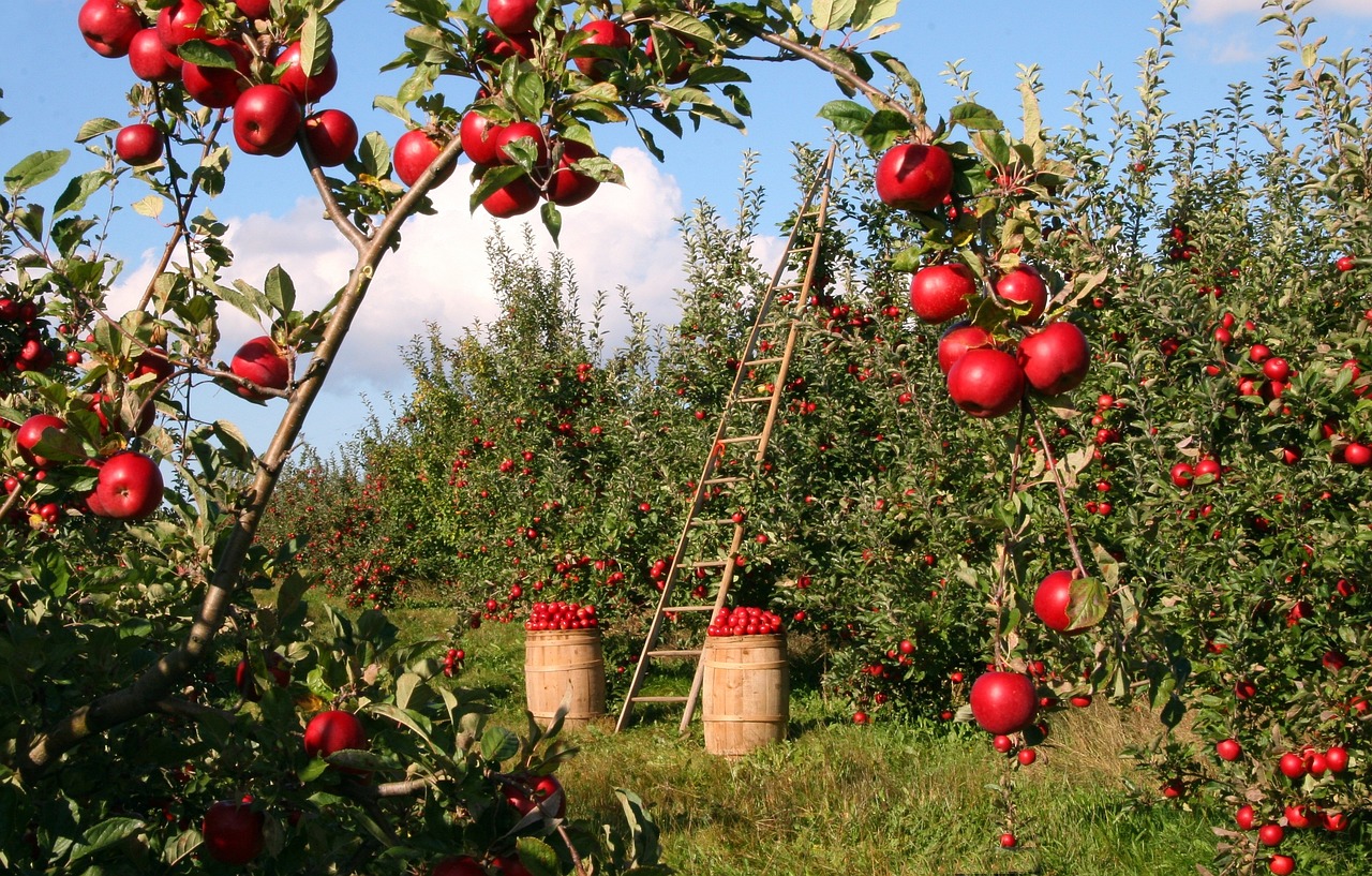 image Regenerative agriculture: how working with nature makes you a more profitable farmer