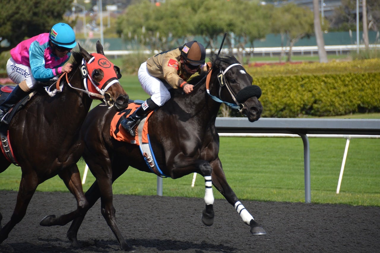image BetB2B: How to choose an effective sports betting platform?