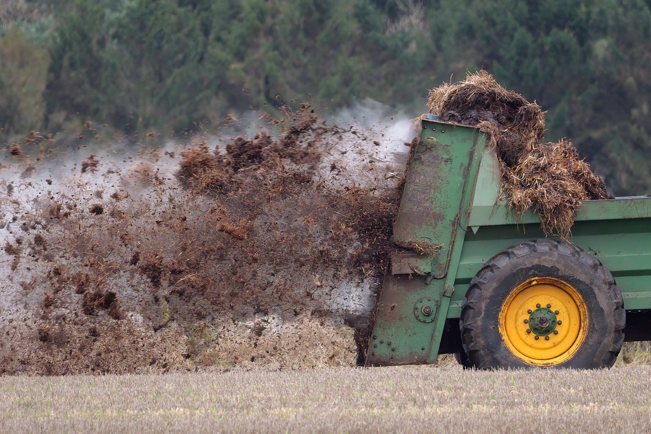 image Larnaca says it’s dealing with overpowering stench