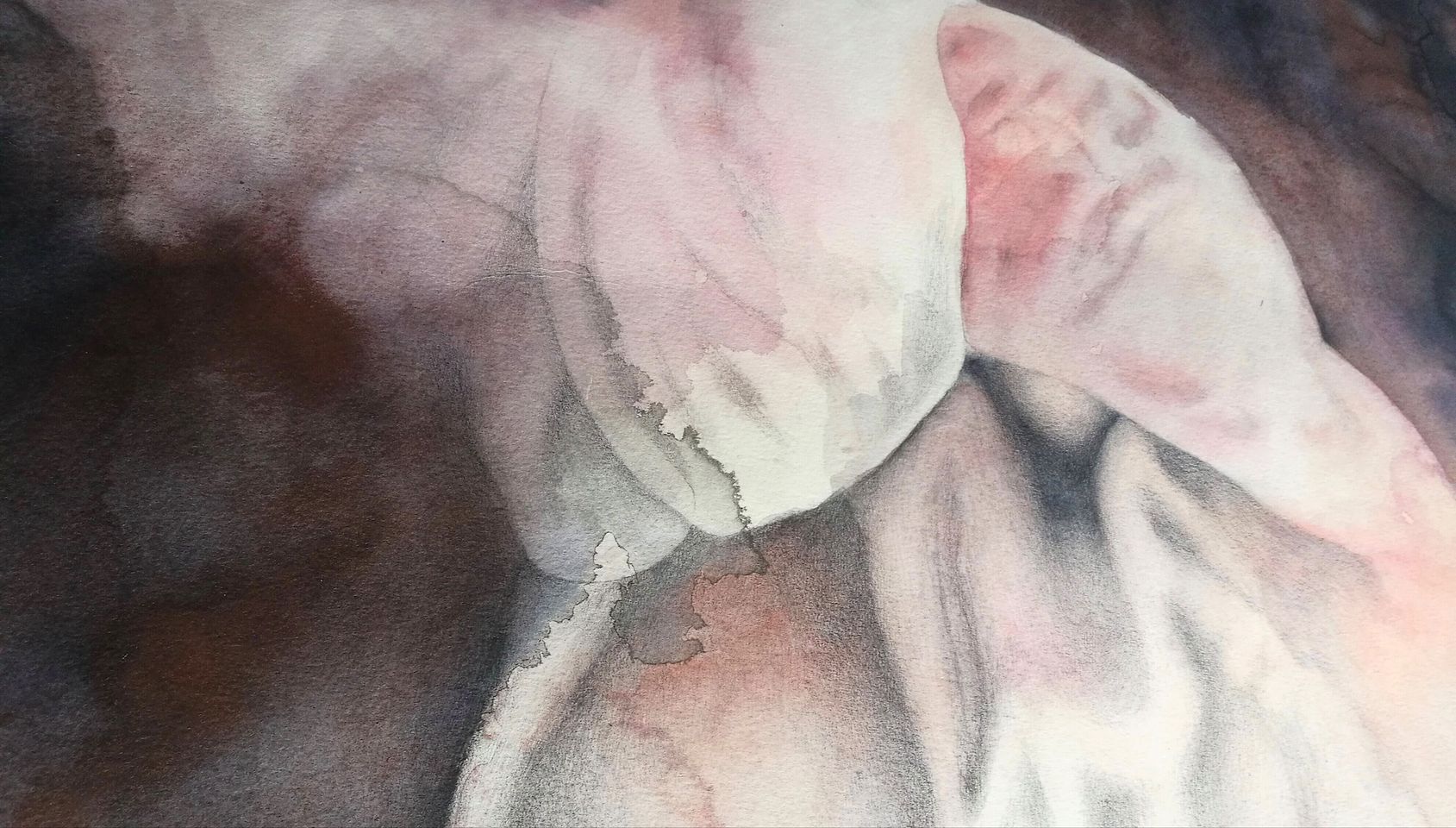 image Exhibitions opening this Friday