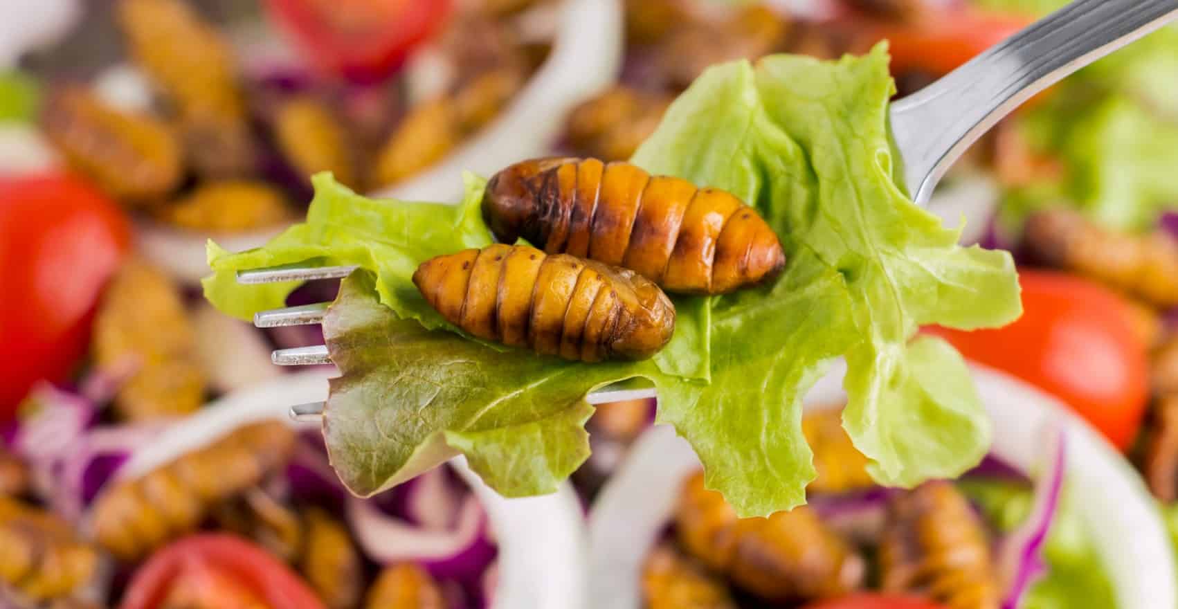 image New foods can go from yucky to yummy as people’s perceptions evolve