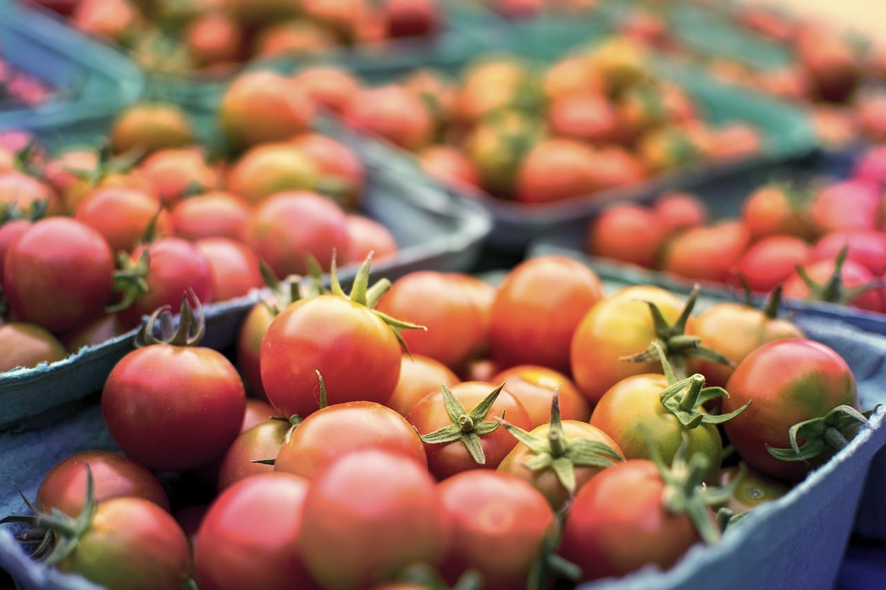 tomato 2556426 1280